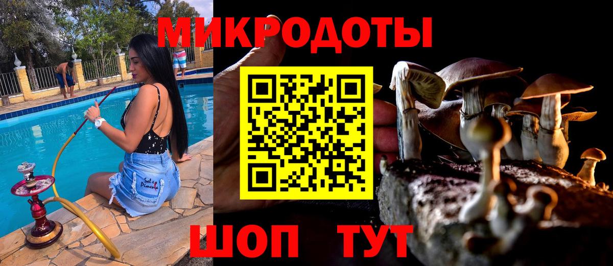 Галлюциногенные грибы мицелий  Вход с VPN  Галлюциногенные грибы Psilocybe  Стрежевой 